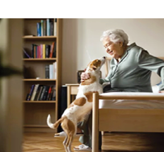 An elderly woman is holding a small dog in her arms. AI generated content